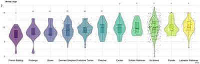 Comparative epidemiological study of breast cancer in humans and canine mammary tumors: insights from Portugal